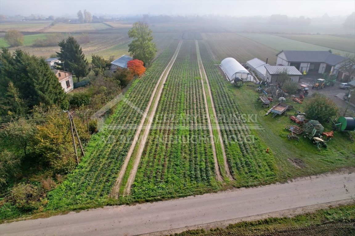 Działka budowlana na sprzedaż Zezulin Niższy, Zezulin  10 017m2 Foto 5