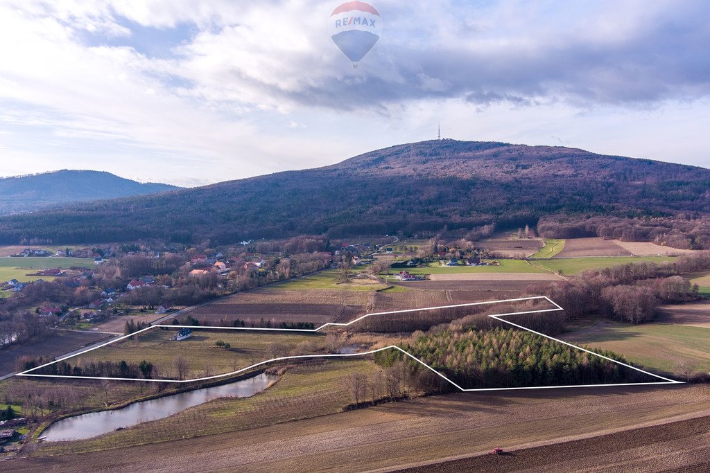 Działka rolna na sprzedaż Będkowice, Wolności  54 814m2 Foto 4