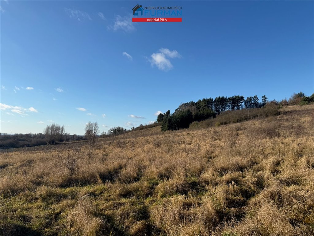 Działka inna na sprzedaż Wolsko Górne  7 539m2 Foto 1