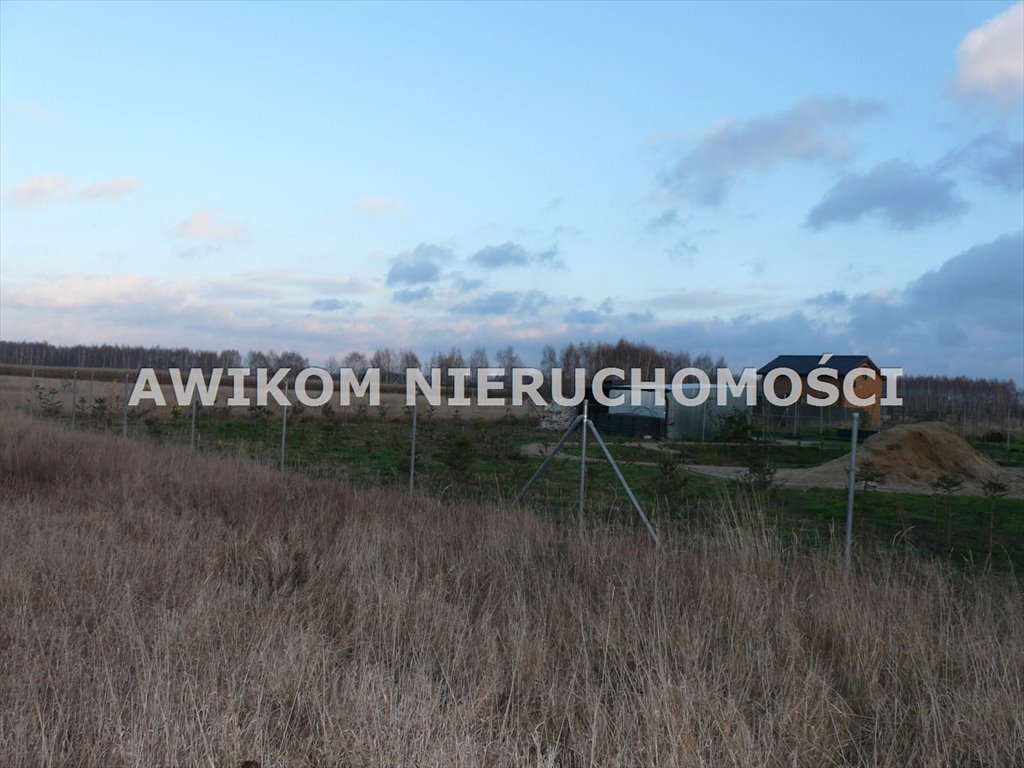 Działka rolna na sprzedaż Skierniewice, Sierakowice Lewe  11 173m2 Foto 7
