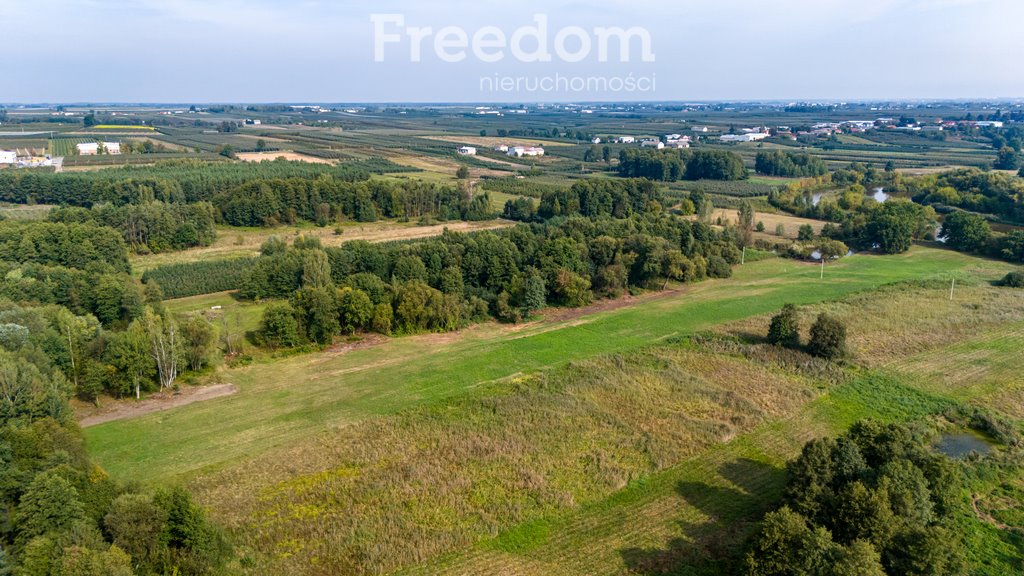 Działka rolna na sprzedaż Warka, Niemojewice  8 614m2 Foto 20