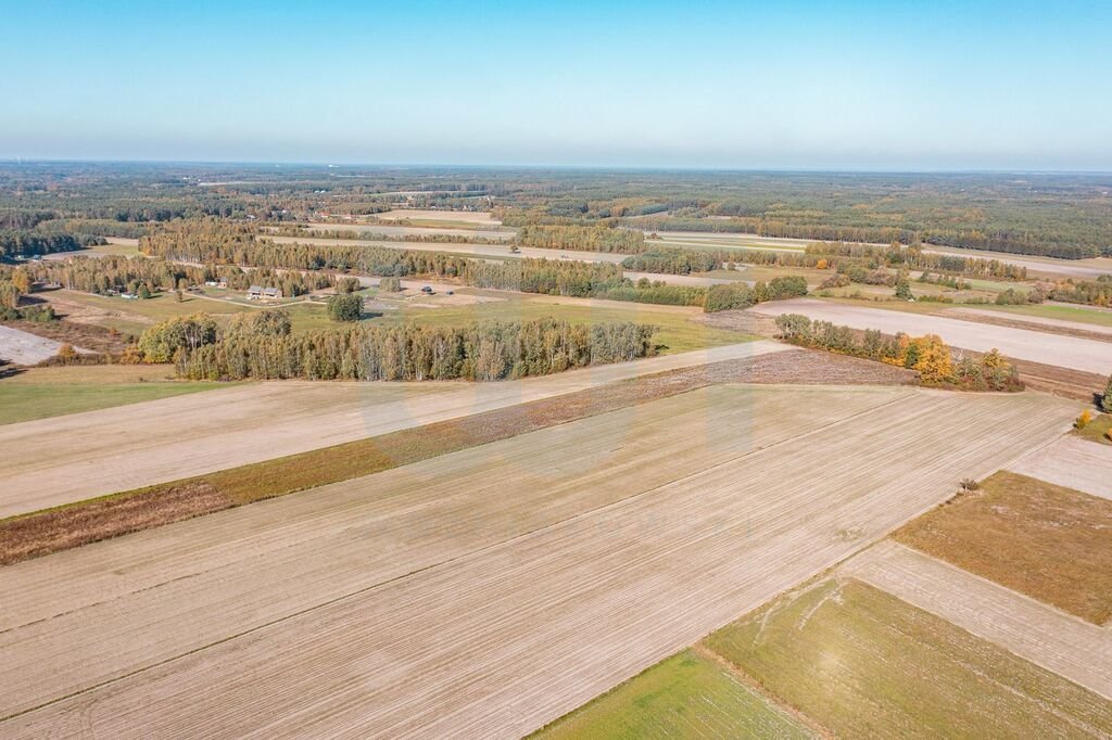 Działka budowlana na sprzedaż Krajęczyn  3 000m2 Foto 10