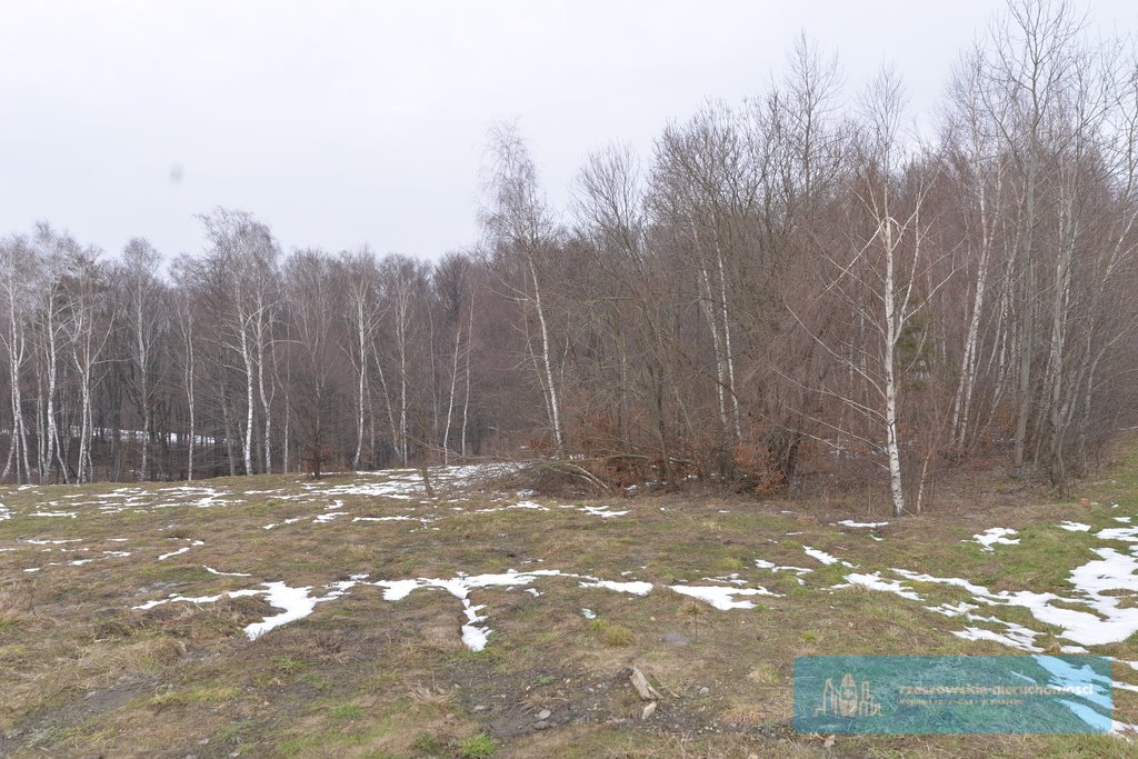 Działka budowlana na sprzedaż Hermanowa  8 000m2 Foto 2