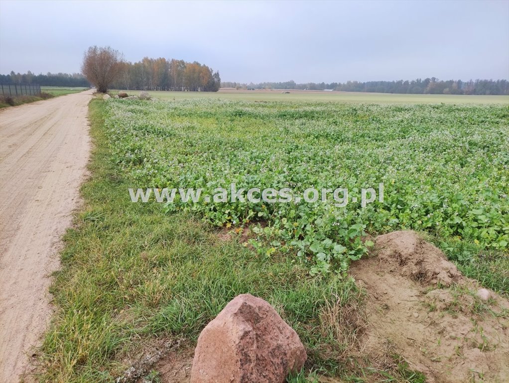 Działka rekreacyjna na sprzedaż Szumlin  3 000m2 Foto 3