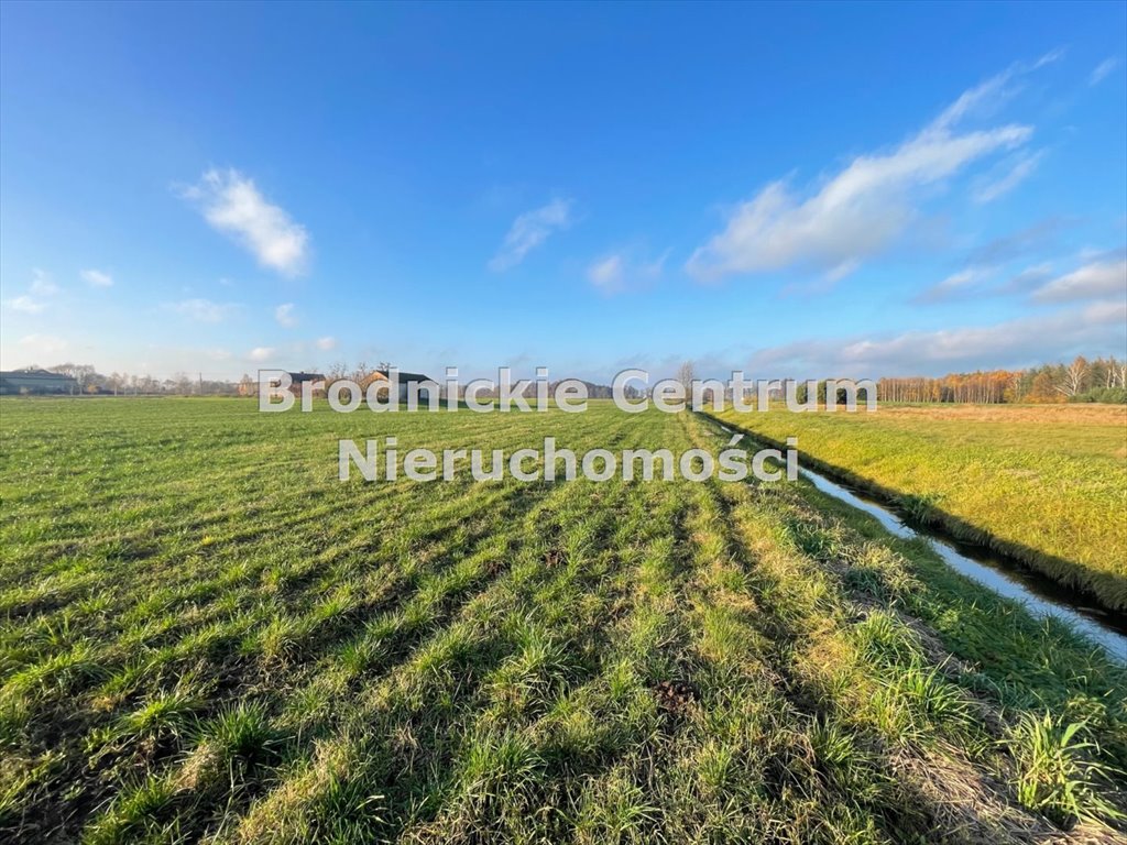 Działka rolna 4,78 ha z rzeką i lasem - zapraszam Okalewo  47 786m2 Foto 1