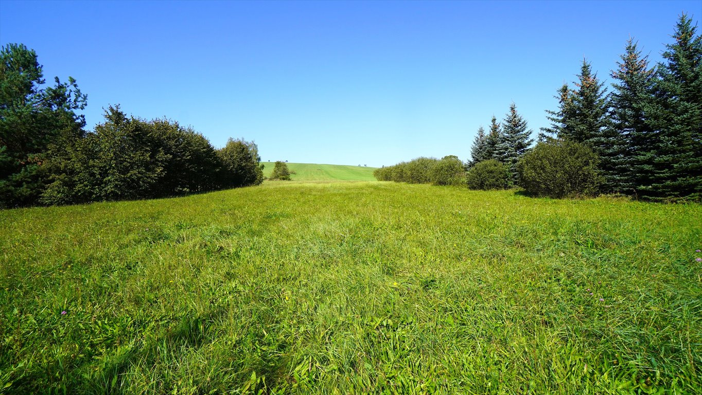 Działka budowlana 1680 m² w Męcinie Wielkiej z mediami Męcina Wielka  1 680m2 Foto 1