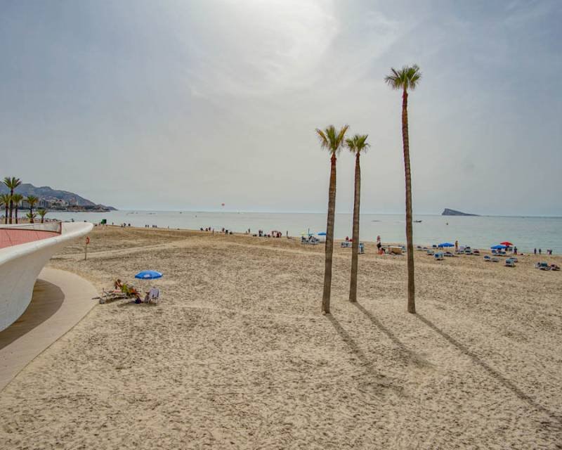 Mieszkanie dwupokojowe na sprzedaż Hiszpania, Benidorm, Hiszpania, Playa Poniente  100m2 Foto 28