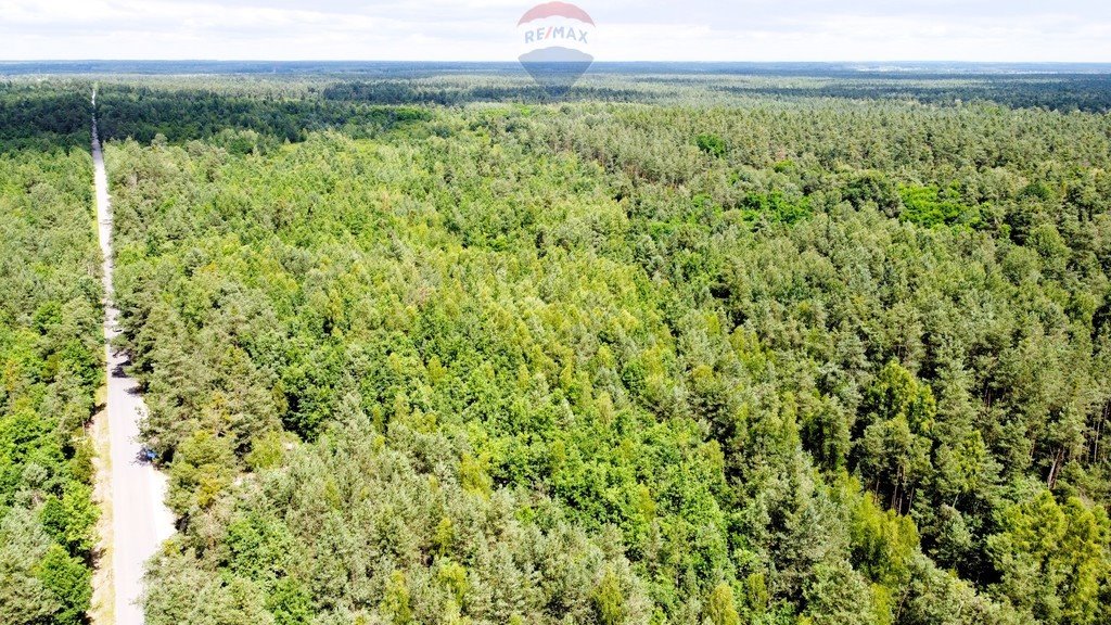 Działka budowlana na sprzedaż Ostrowiec Świętokrzyski, Las Rzeczki  877m2 Foto 2