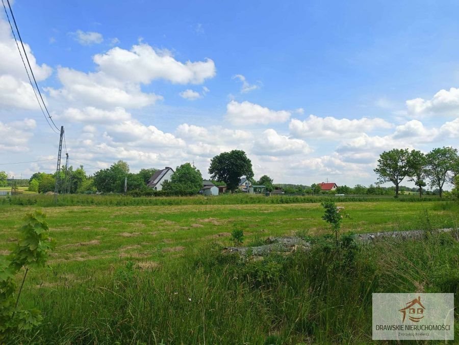 Działka rolna na sprzedaż Piecnik, Piecnik  1 900m2 Foto 3