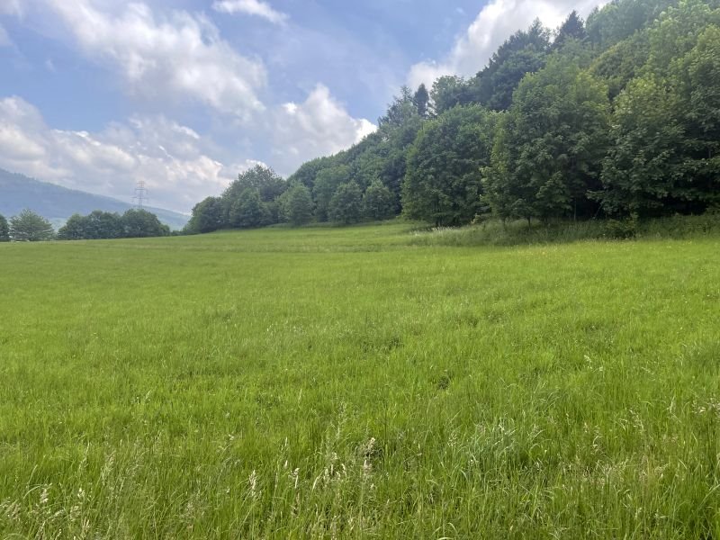 Działka budowlana na sprzedaż Ustroń, Ustroń  1 911m2 Foto 7