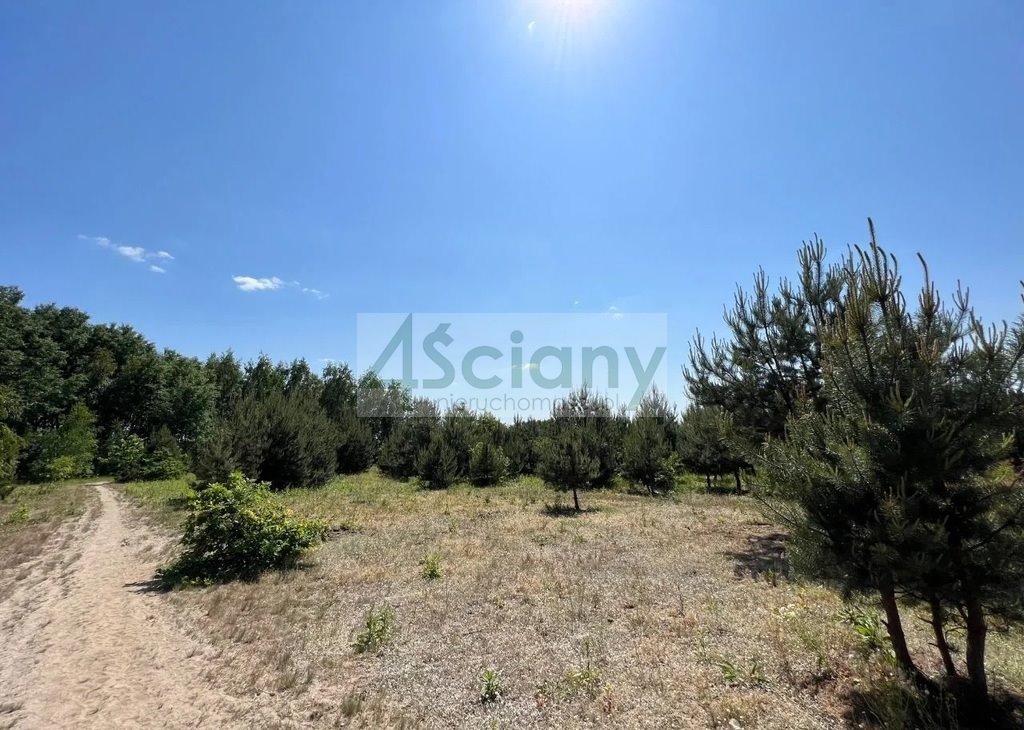 Działka budowlana na sprzedaż Rusiec  1 000m2 Foto 1