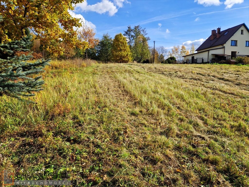 Widokowa działka 35 arów z mediami w Maszkowie polecam Maszków  3 543m2 Foto 1