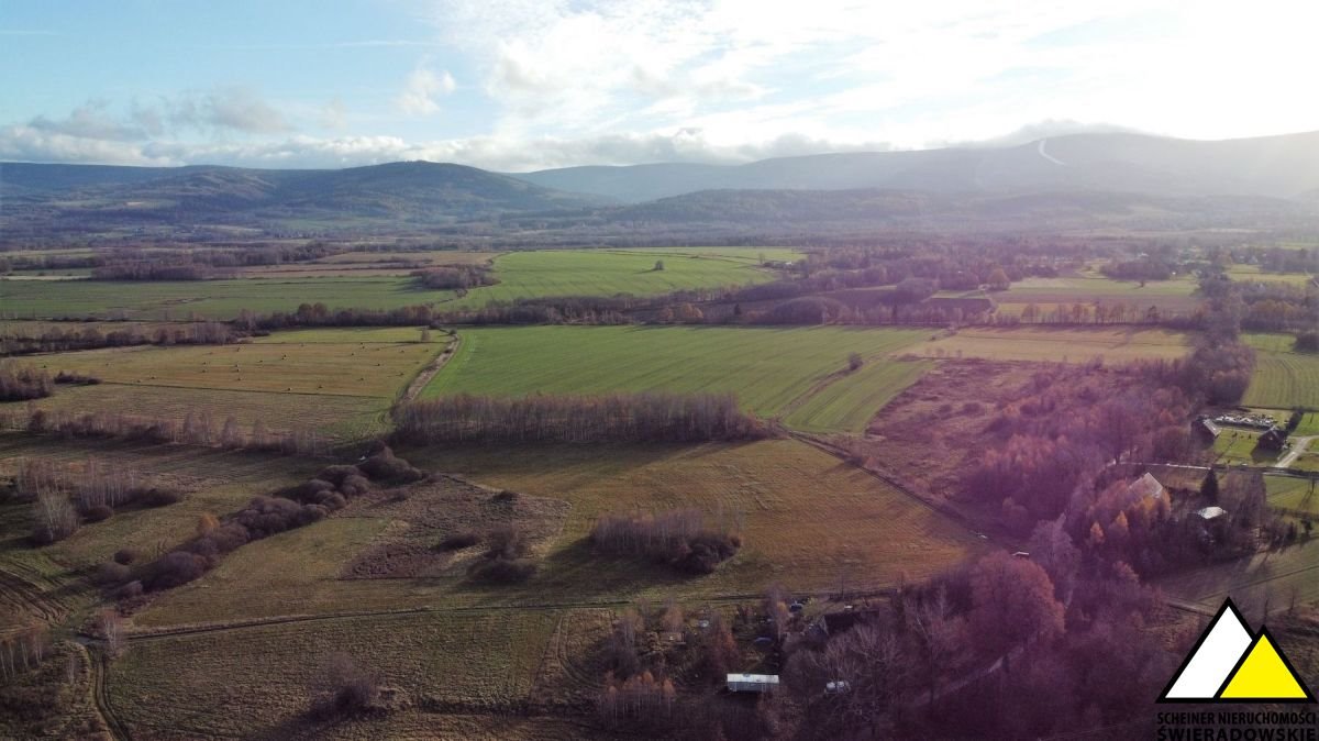 Działka budowlana na sprzedaż Wolimierz  6 000m2 Foto 8