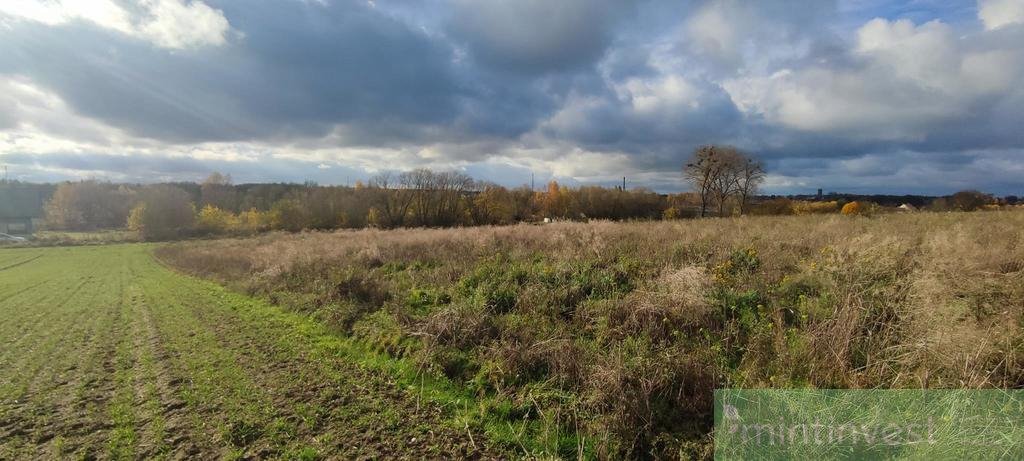 Działka budowlana na sprzedaż Goleniów  1 400m2 Foto 5