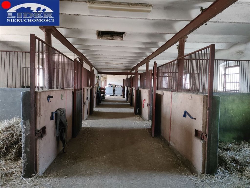 Obiekt 58 000 m² z stajniami, hotelem i gastronomią Rusinowo  58 000m2 Foto 1