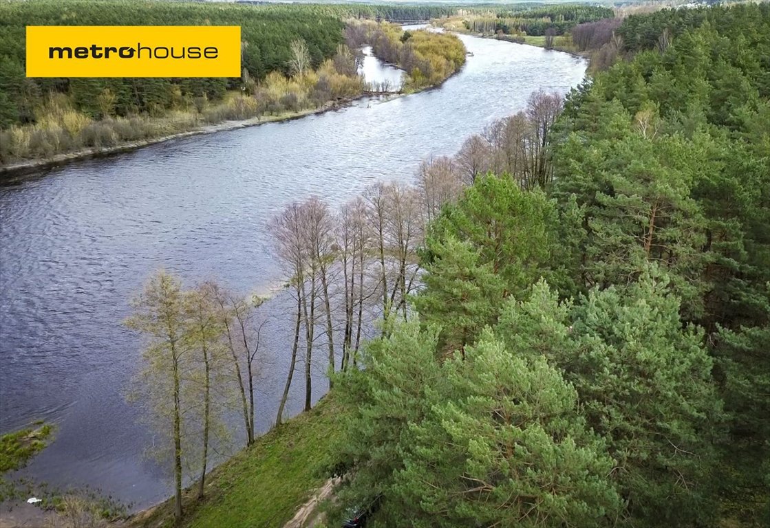 Działka leśna na sprzedaż Jankowo-Młodzianowo  32 102m2 Foto 1