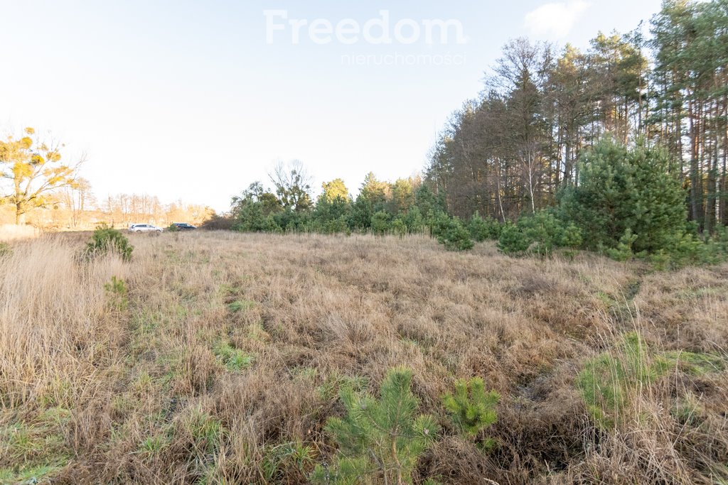 Działka budowlana na sprzedaż Kotuń  1 196m2 Foto 3