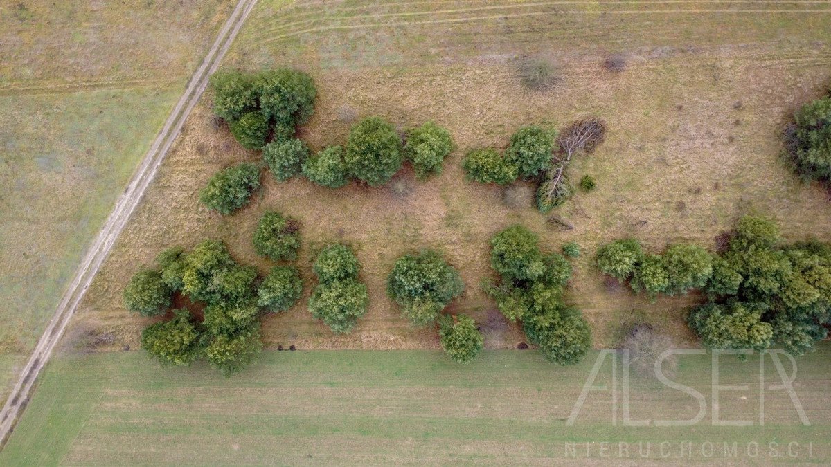 Działka rolna na sprzedaż Laskowizna  15 000m2 Foto 9