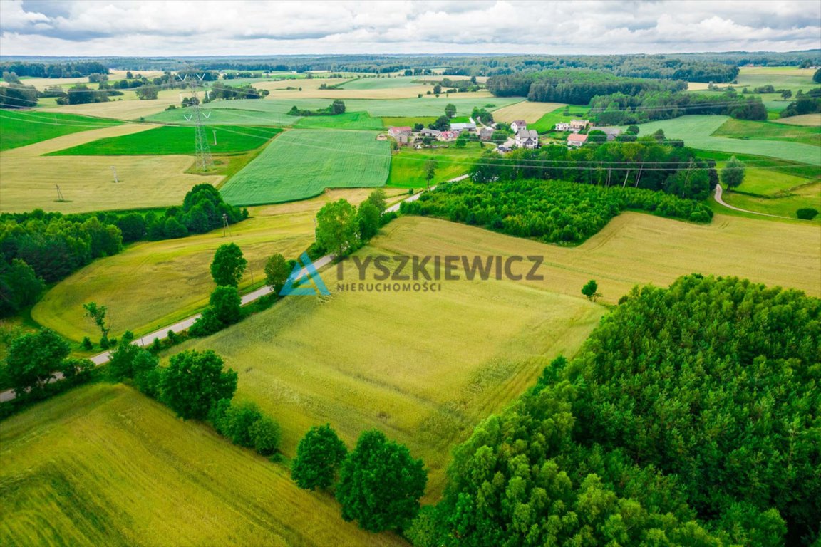 Działka budowlana na sprzedaż Dąbrówka  7 800m2 Foto 7