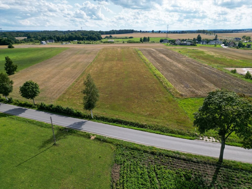 Działka przemysłowo-handlowa na sprzedaż Tokary, Przodkowska  1 100m2 Foto 4