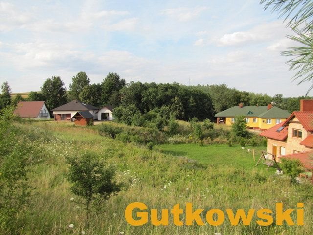 Działka rolna na sprzedaż Łąki Bratiańskie, Gmina Nowe Miasto Lubawskie  3 010m2 Foto 5