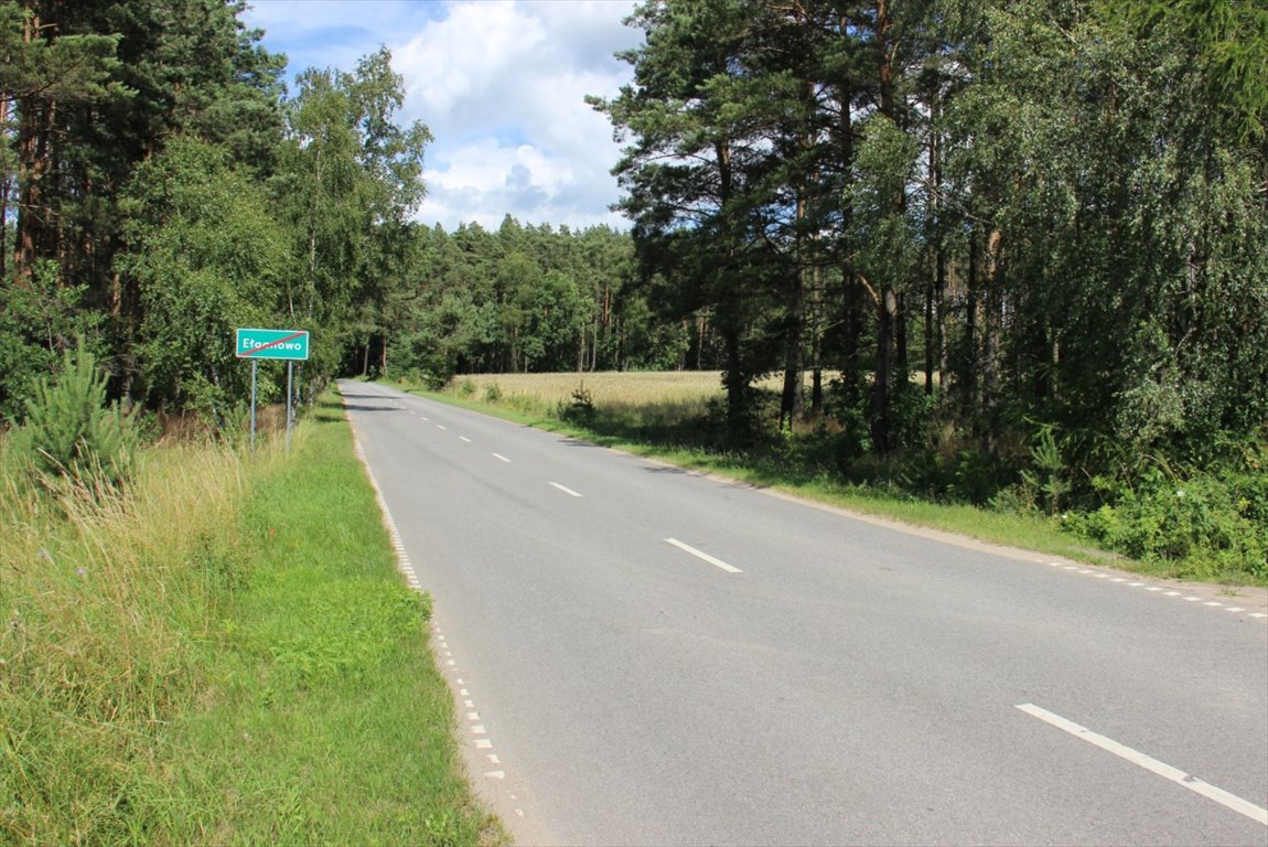 Działka 8 900 m² z WZ pod domy w otoczeniu lasu Ełganowo  8 900m2 Foto 1