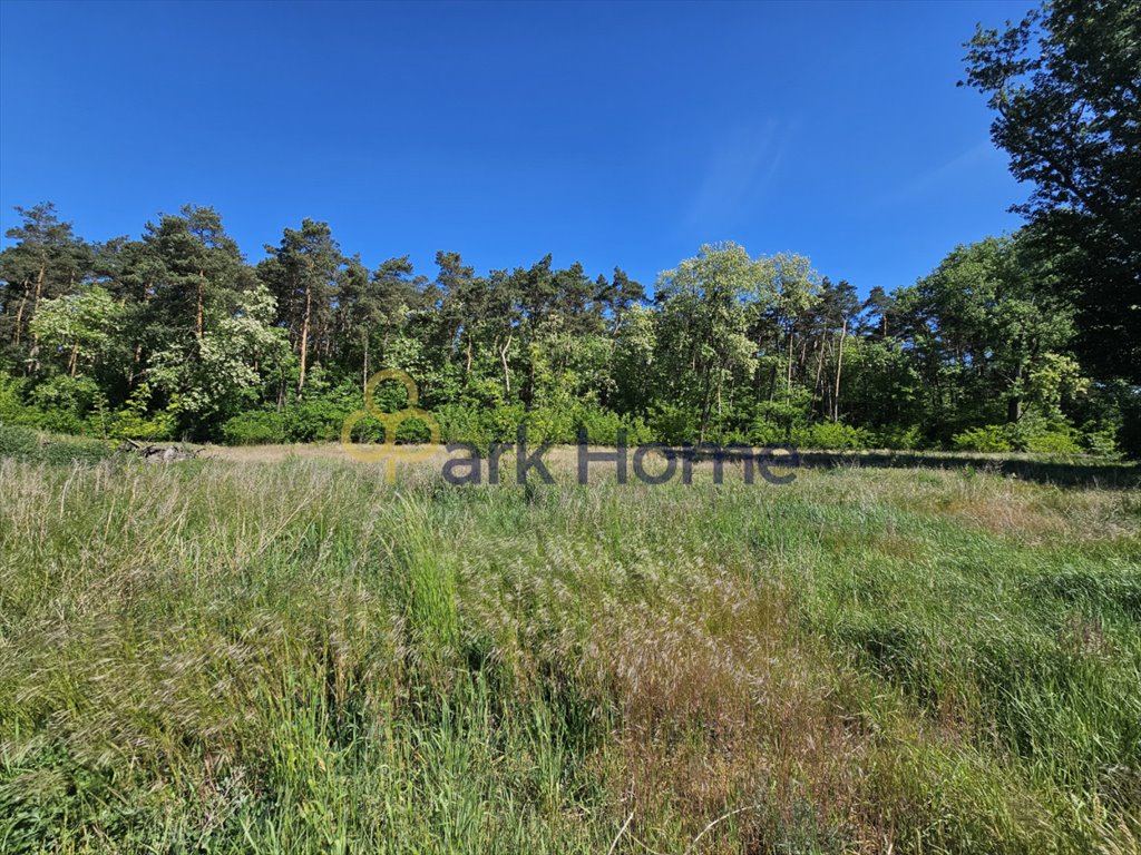 Działka budowlana na sprzedaż Nochowo  1 252m2 Foto 4