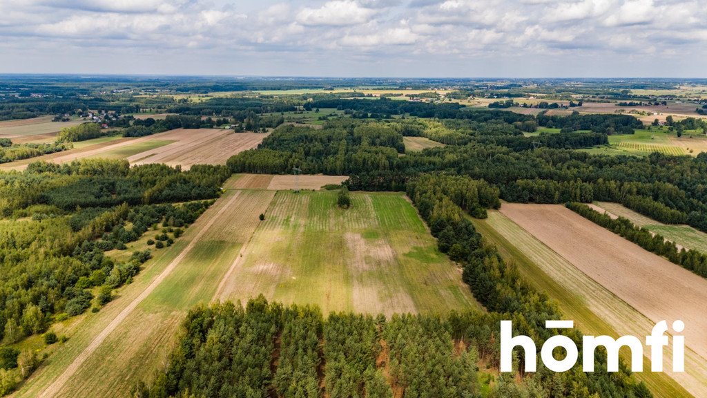 Działka rolna na sprzedaż Zdziechów  45 600m2 Foto 16