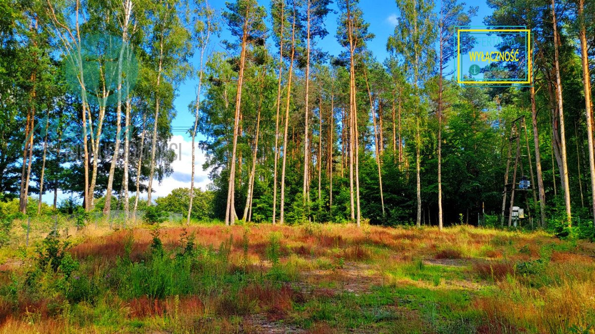 Działka budowlana na sprzedaż Kamień, Nad Brzegiem  1 501m2 Foto 5