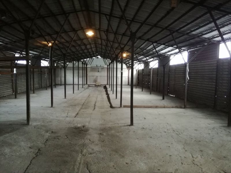 Lokal użytkowy na wynajem Chorzów, Centrum 500m2 Foto 1 Lokal użytkowy na wynajem Chorzów, Centrum 500m2 Foto 1