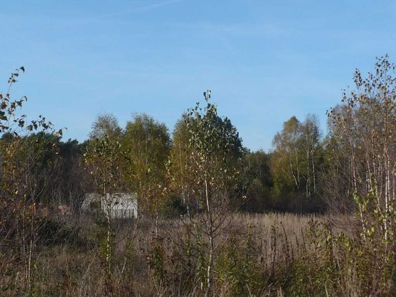 Działka 1140 m² pod dom z usługami, las, asfalt Odolion  1 140m2 Foto 1