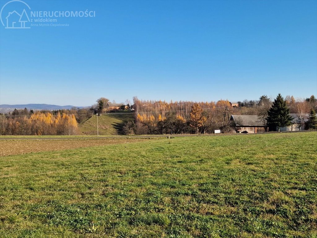 Działka budowlana na sprzedaż Turza  2 517m2 Foto 3