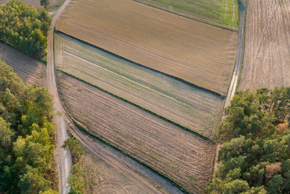 Działka rolna na sprzedaż Jesionka  2 800m2 Foto 12