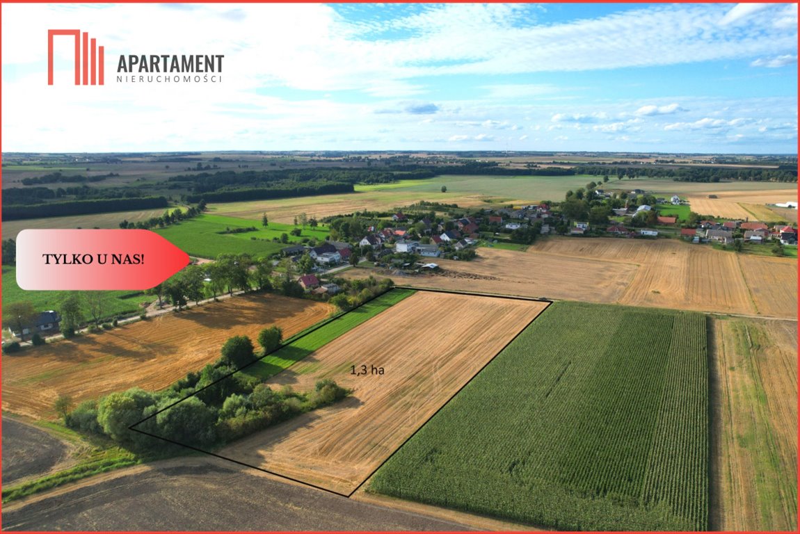 Działka rolna z stawem, cisza i zieleń, blisko centrum Piastoszyn  13 000m2 Foto 1