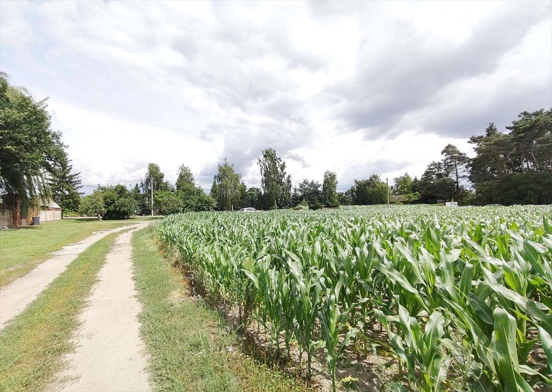 Działka 3290 m² z warunkami zabudowy w Wygodzie, Buk Buk, Wygoda  3 290m2 Foto 1