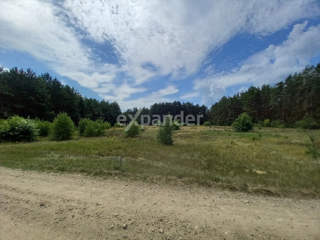 Działka 4020 m² pod dom w otoczeniu lasu i jeziora Wólka, Rumunki Wólczańskie  4 020m2 Foto 1