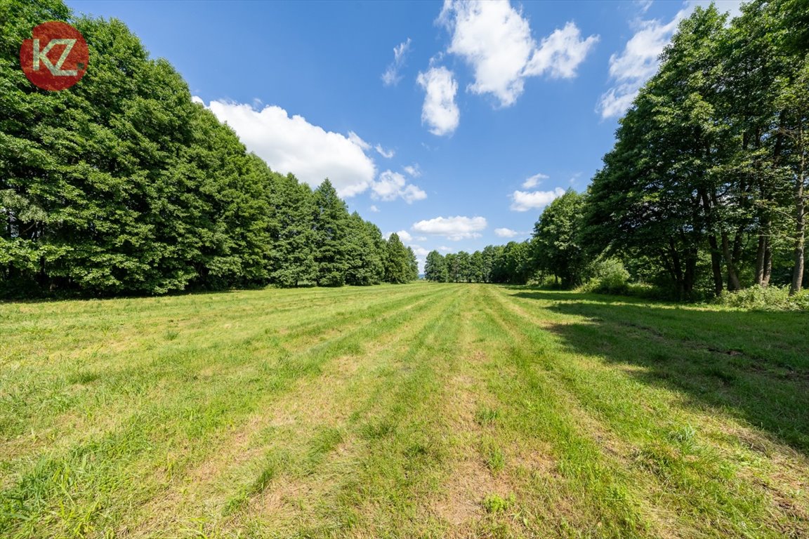 Sprzedam działkę 7,75 ha z stawem w Lipia Góra Lipia Góra  77 500m2 Foto 1