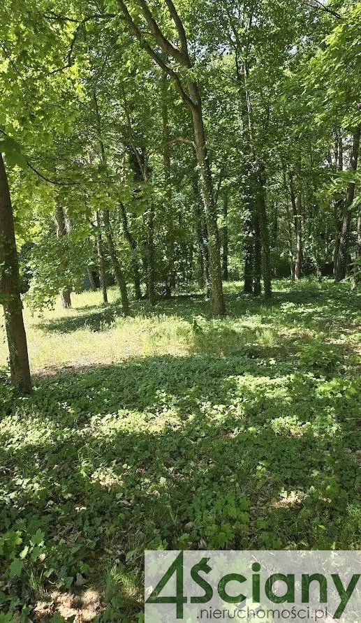 Działka budowlana na sprzedaż Podkowa Leśna  2 182m2 Foto 2