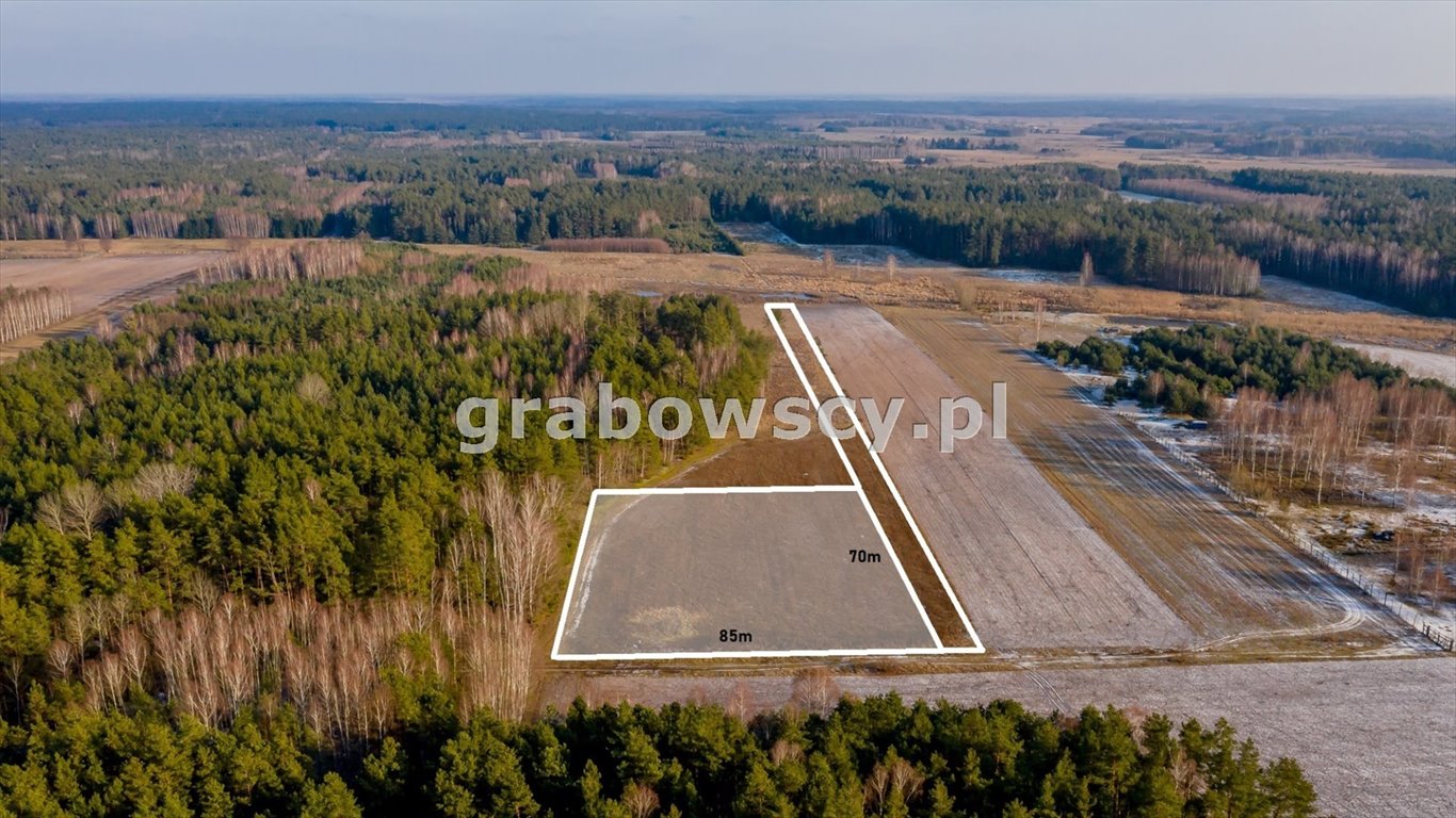 Działka rekreacyjna na sprzedaż Pawły  6 000m2 Foto 1