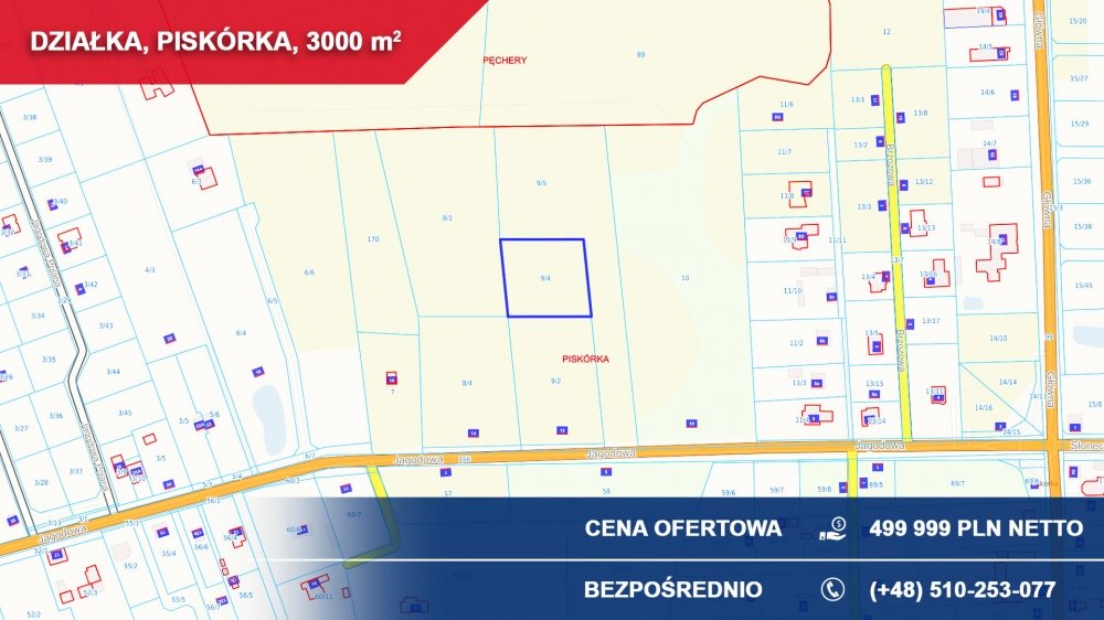 Zalesiona działka 3000 m² w Piskórce, blisko Chojnowskiego Parku Piskórka, Jagodowa  3 000m2 Foto 1