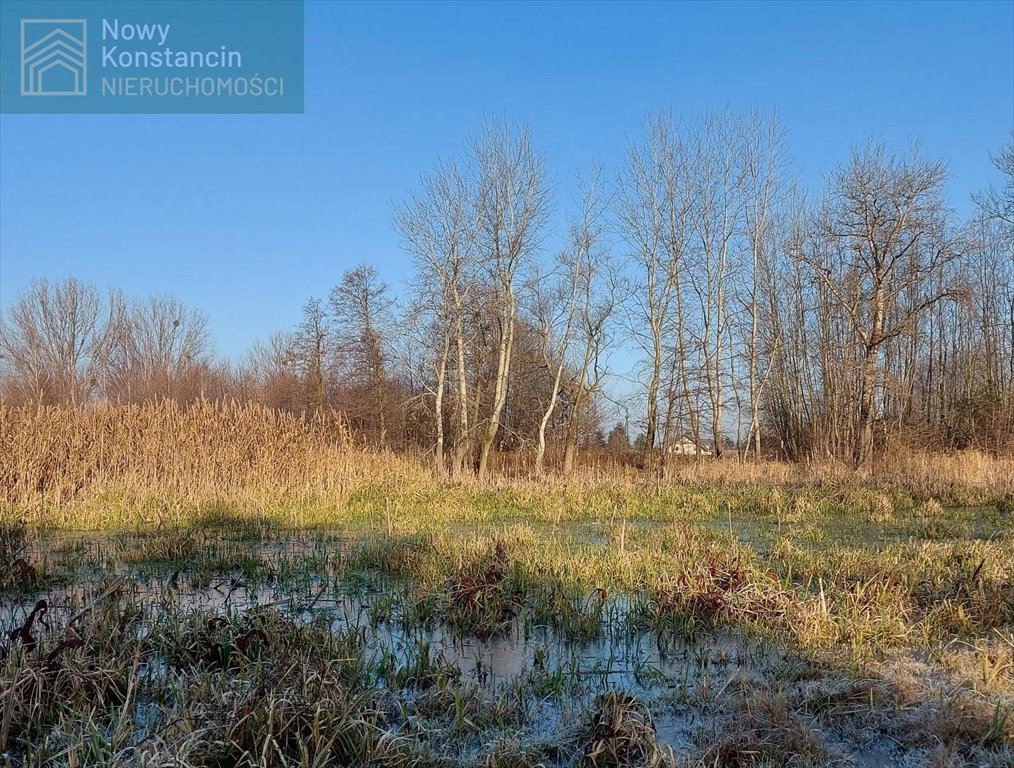 Działka budowlana na sprzedaż Cieciszew  4 000m2 Foto 1