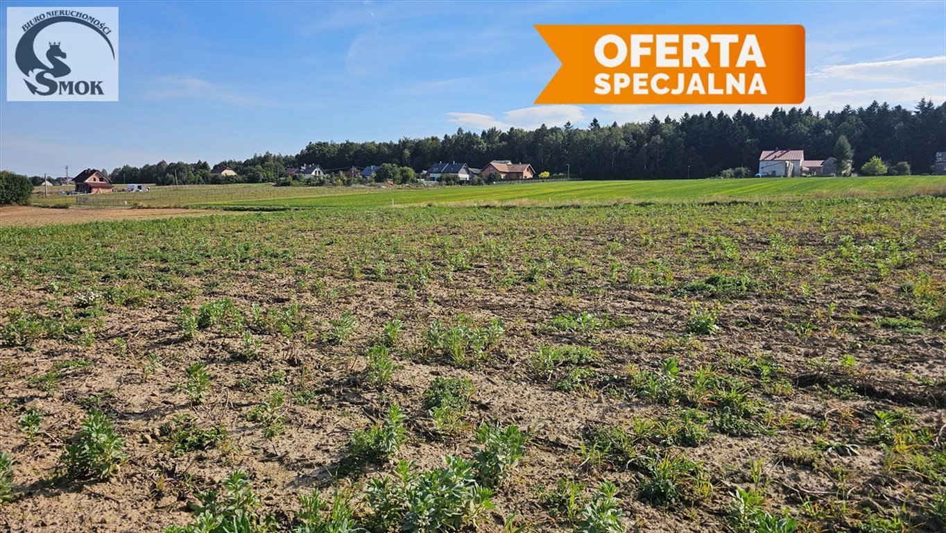 Działka siedliskowa na sprzedaż Wielmoża  1 200m2 Foto 3