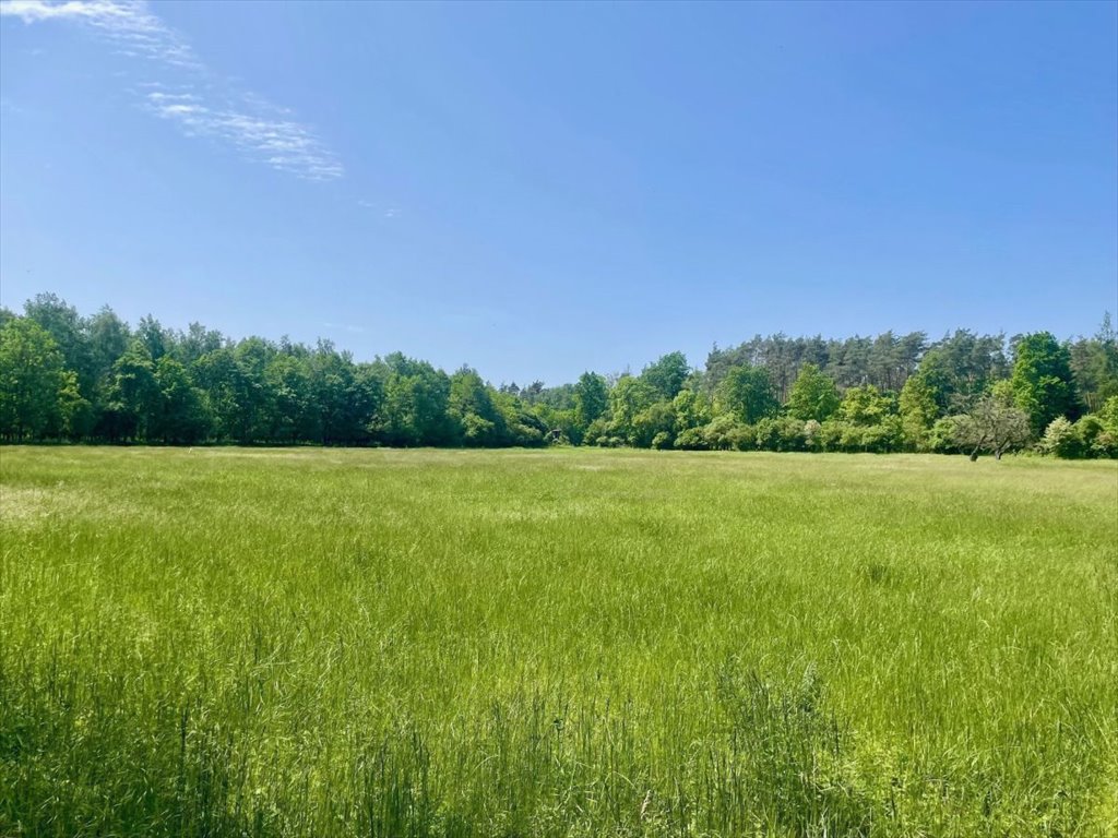 Działka budowlana na sprzedaż Bieczyny, Piękna  5 018m2 Foto 12