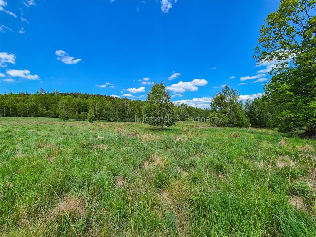 Działka rolna na sprzedaż Kromnów  49 500m2 Foto 4