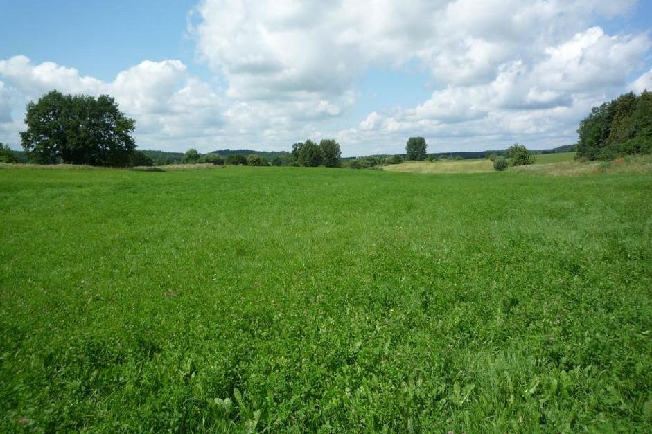 Działka budowlana na sprzedaż Olszewo  12 300m2 Foto 3