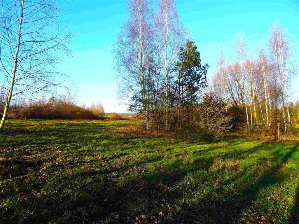 Działka budowlana na sprzedaż Poznań, Stare Miasto, Naramowice, Diamentowa  3 000m2 Foto 4