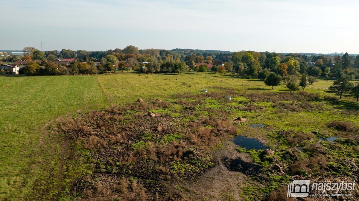 Działka rolna na sprzedaż Sarbia  6 500m2 Foto 2