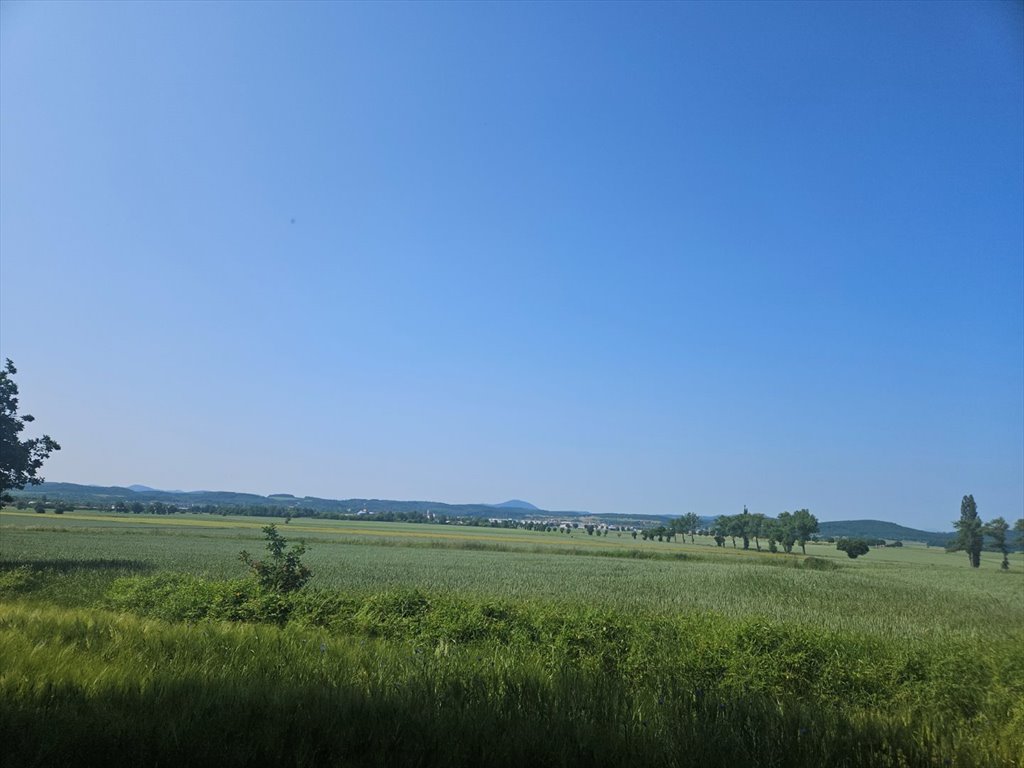 Działka inwestycyjna na sprzedaż Świebodzice, Ciernie  4 591m2 Foto 1