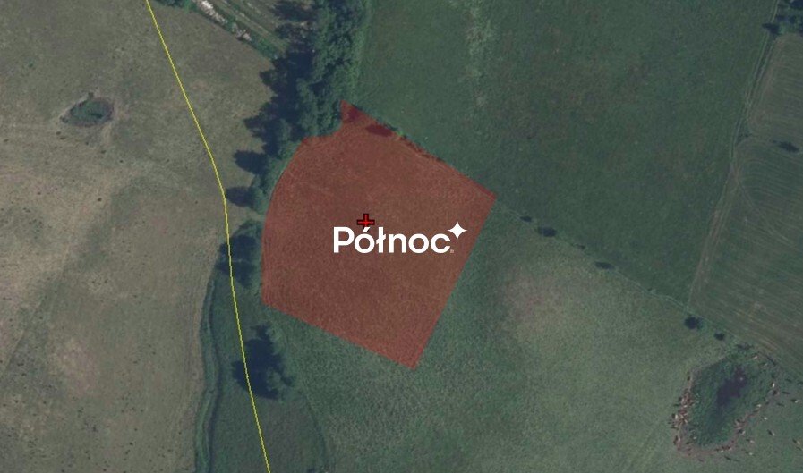 Działka rolna 7410 m² w Borkach Wielkich – cisza i natura Borki Wielkie  7 410m2 Foto 1