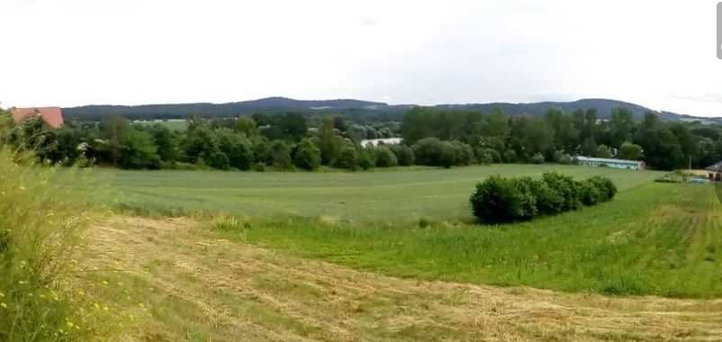 Działka inna na sprzedaż Strzelin  7 400m2 Foto 5